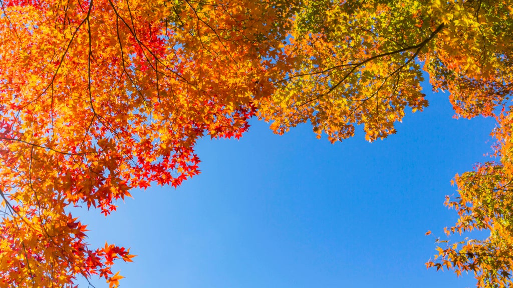 More near-record warmth Monday in Minnesota ahead of big cooldown — WCCO / CBS Minnesota, Minnetonka Community news