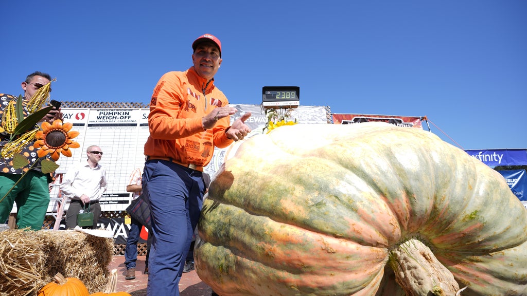 Minnesota man drives hauls giant pumpkin over 2,000 miles to California competition — WCCO / CBS Minnesota, Minnetonka Community news