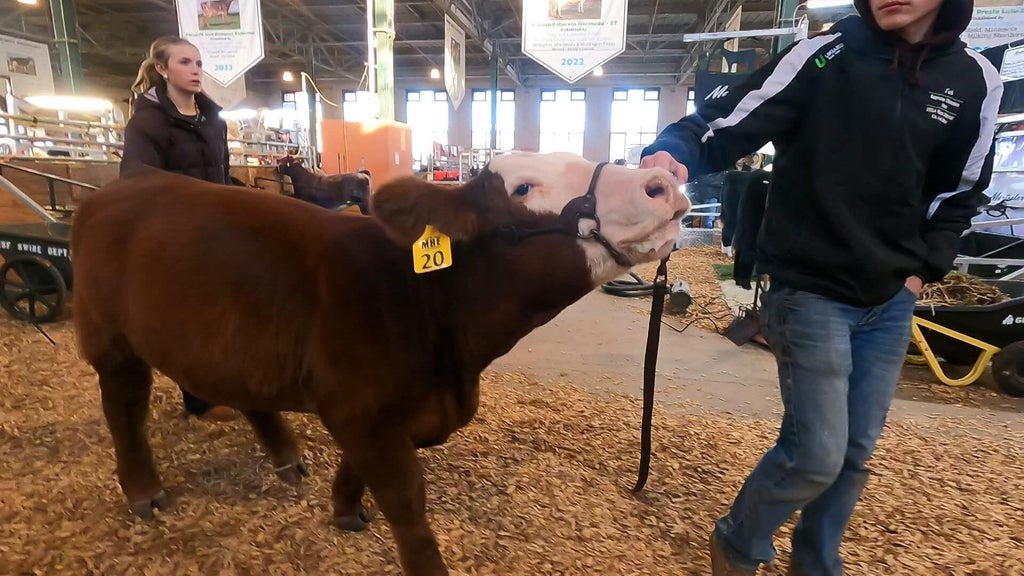 Spotlight on beef as Minnesota midterms near — WCCO / CBS Minnesota, Minnetonka Community news