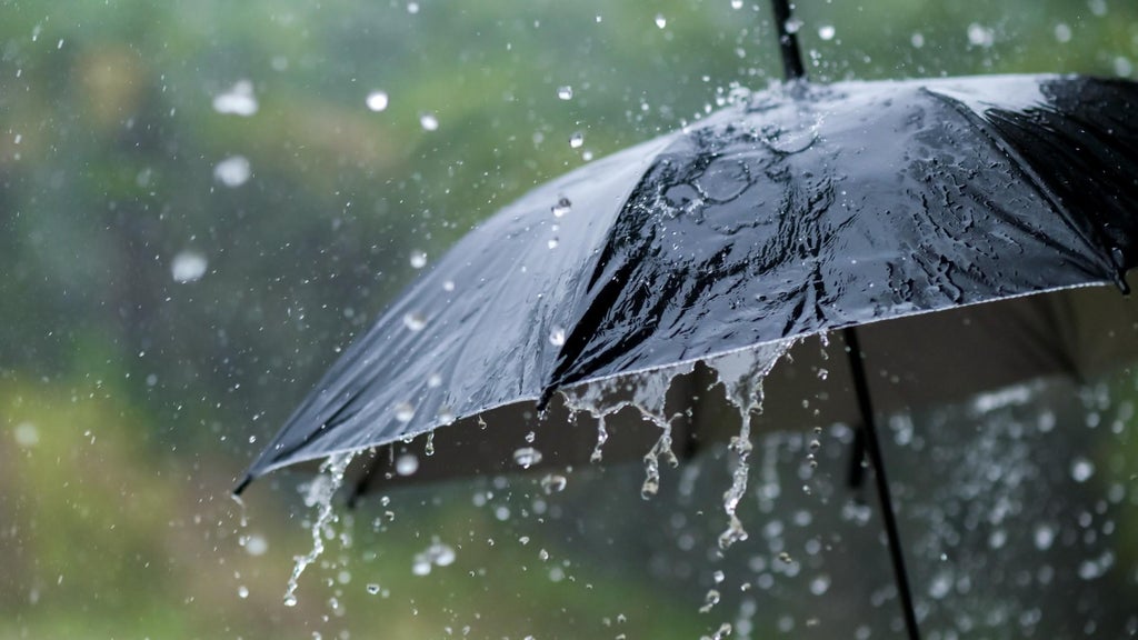 Widespread rain in Minnesota Monday; milder air returns Tuesday — WCCO / CBS Minnesota, Minnetonka Community news