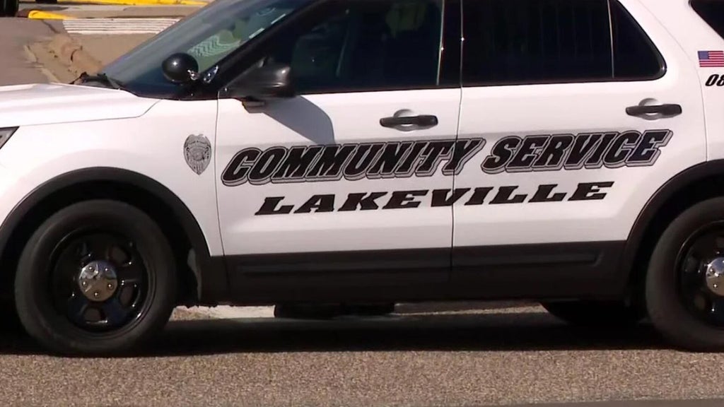 Lakeville man convicted of murdering sister, her unborn child in 2024 — WCCO / CBS Minnesota, Minnetonka Community news