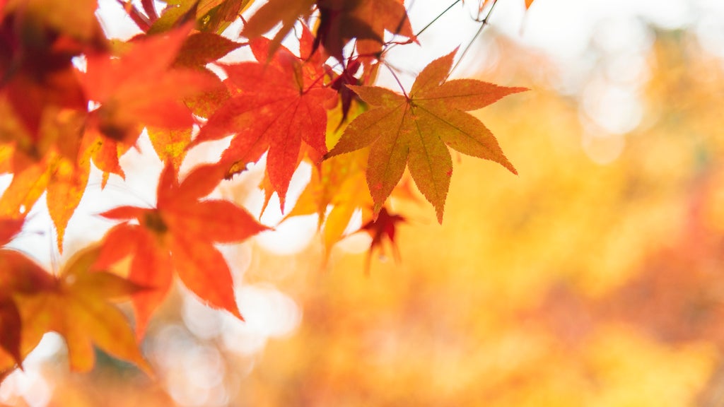 More sunny, mild late October weather in Minnesota Tuesday — WCCO / CBS Minnesota, Minnetonka Business news