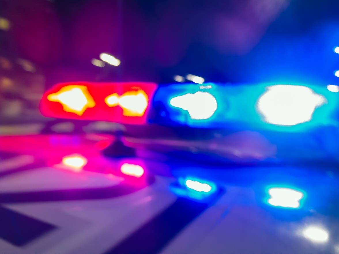 Bradenton Man Dies After SUV Crashes Into Tree In Sarasota County — Sarasota Patch, Minnetonka Health news