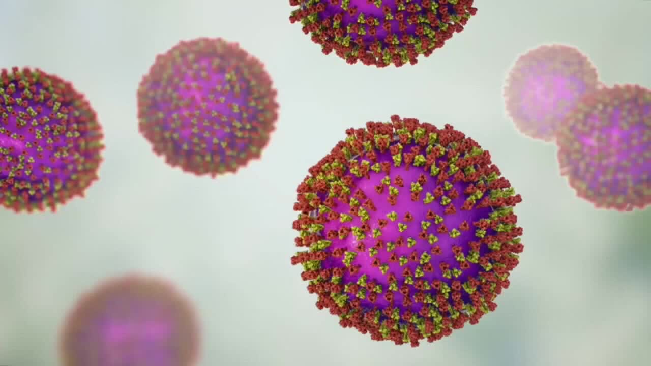 Wisconsin measles outbreak rises to 267 cases as spread continues — FOX 9, Minnetonka Health news