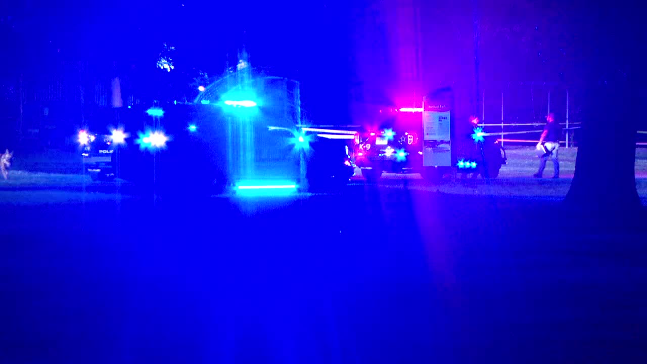 Brooklyn Park teen shooting suspect ordered to stand trial as adult — FOX 9, Minnetonka Community news
