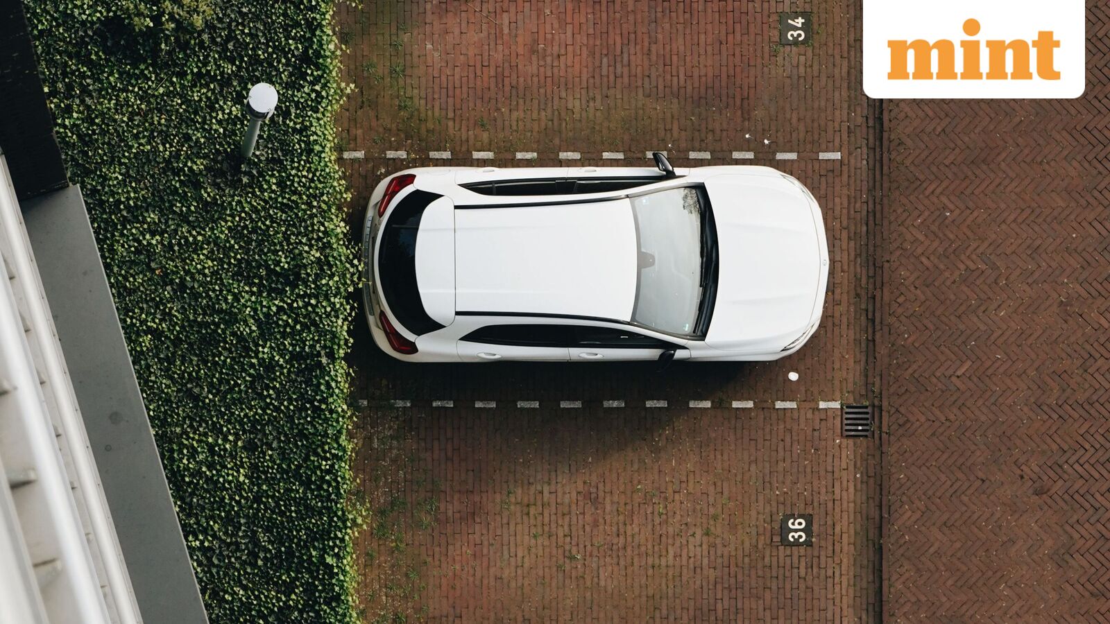 Smart investment or monopoly? Woman's ₹20 crore parking space bet sparks legal feud in China — Mint India, Minnetonka Technology news