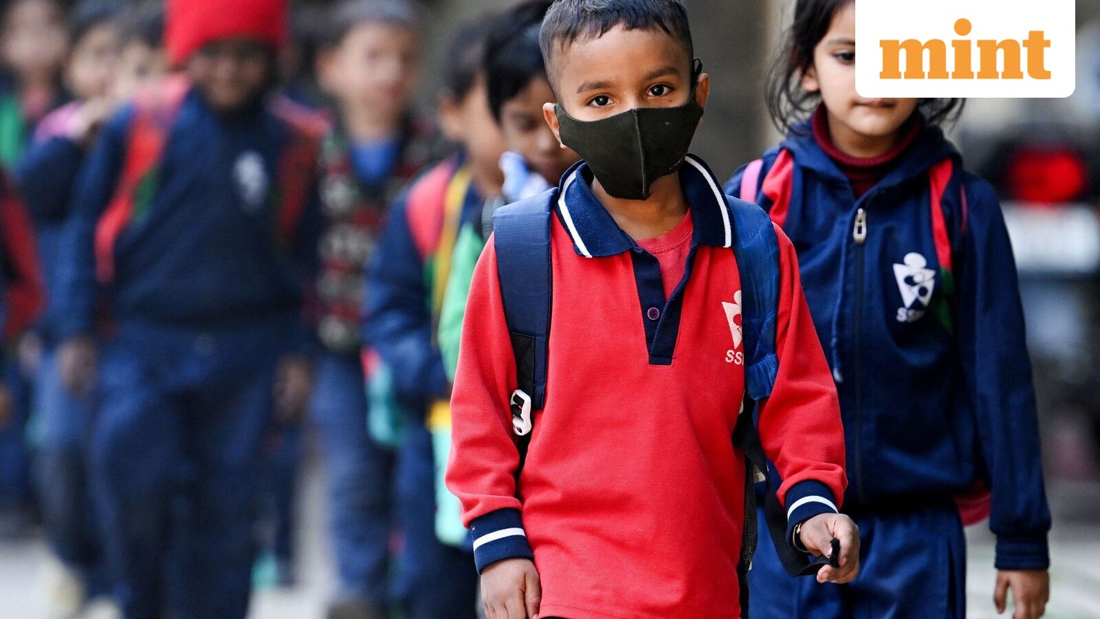Chennai school holiday, Oct 21: Schools shut in four Tamil Nadu districts as heavy rains predicted | Check IMD alert — Mint India, Minnetonka Schools news